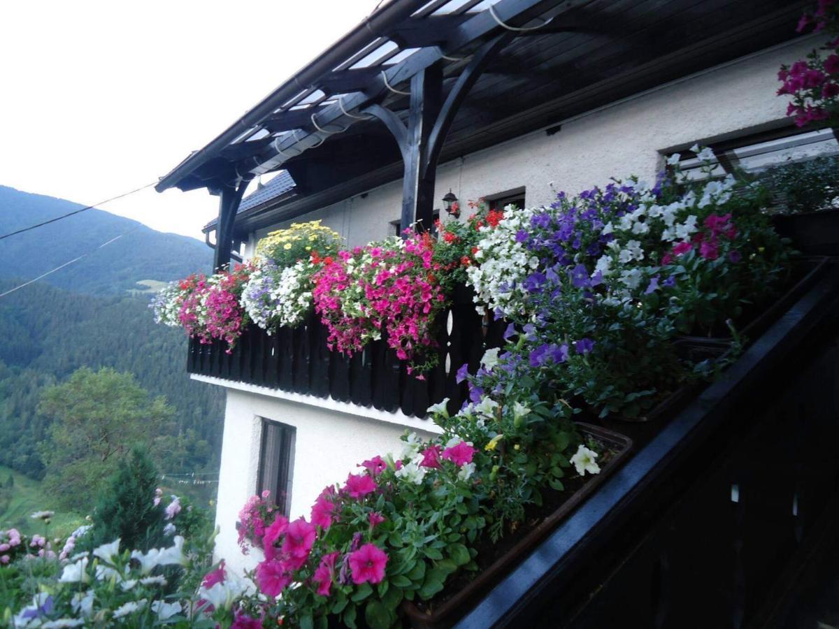 Sobe Tanja Apartment Podbrdo Exterior photo