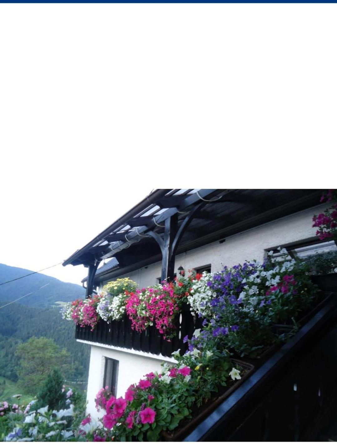 Sobe Tanja Apartment Podbrdo Exterior photo